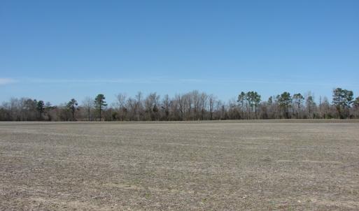 Photo of UNDER CONTRACT!  50 Acres of Farm and Timber Land For Sale in Robeson County NC!