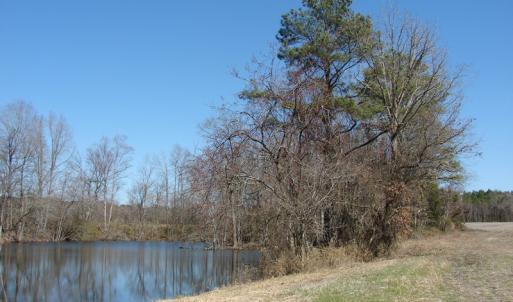 Photo of UNDER CONTRACT!  50 Acres of Farm and Timber Land For Sale in Robeson County NC!