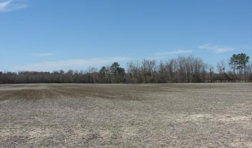 Photo of UNDER CONTRACT!  50 Acres of Farm and Timber Land For Sale in Robeson County NC!