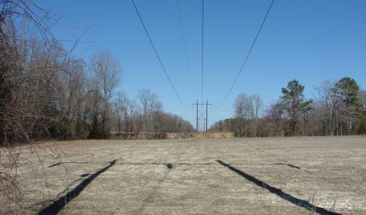 Photo of UNDER CONTRACT!  50 Acres of Farm and Timber Land For Sale in Robeson County NC!