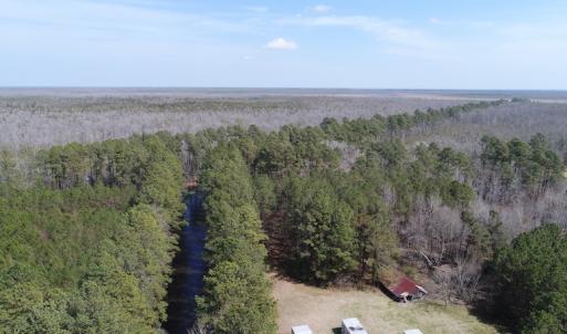 Photo of UNDER CONTRACT!  14.24 Acres of Creek Front Residential Land For Sale in Tyrrell County NC!