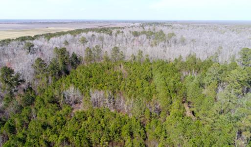 Photo of UNDER CONTRACT!  14.24 Acres of Creek Front Residential Land For Sale in Tyrrell County NC!