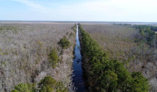 Photo of UNDER CONTRACT!  14.24 Acres of Creek Front Residential Land For Sale in Tyrrell County NC!
