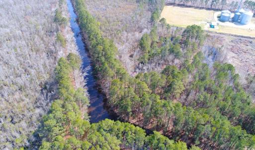 Photo of UNDER CONTRACT!  14.24 Acres of Creek Front Residential Land For Sale in Tyrrell County NC!