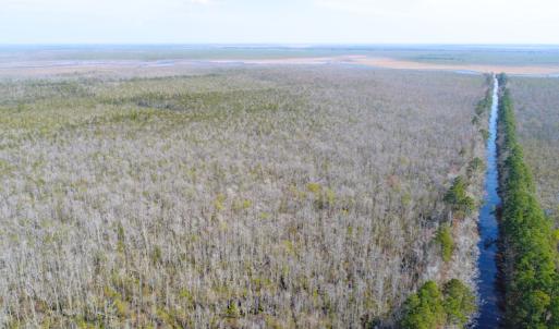 Photo of UNDER CONTRACT!  14.24 Acres of Creek Front Residential Land For Sale in Tyrrell County NC!