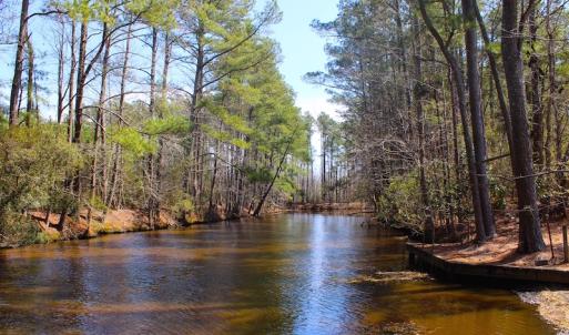 Photo of UNDER CONTRACT!  14.24 Acres of Creek Front Residential Land For Sale in Tyrrell County NC!