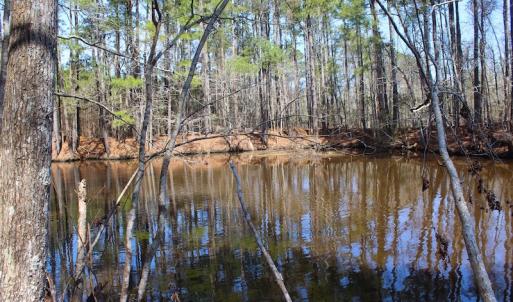 Photo of UNDER CONTRACT!  14.24 Acres of Creek Front Residential Land For Sale in Tyrrell County NC!