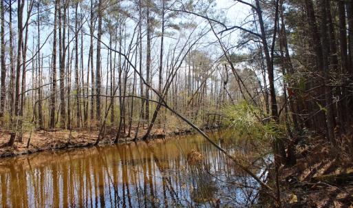 Photo of UNDER CONTRACT!  14.24 Acres of Creek Front Residential Land For Sale in Tyrrell County NC!