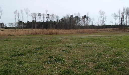Photo of 32 Acres of Farm and Timber Land For Sale in Nash County NC!
