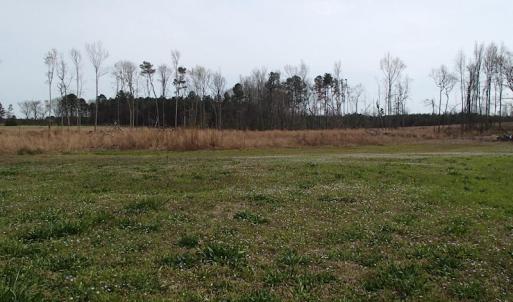 Photo of 32 Acres of Farm and Timber Land For Sale in Nash County NC!