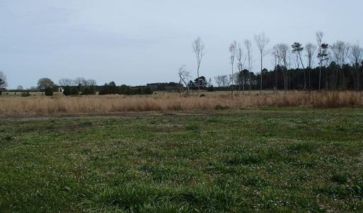 Photo of 32 Acres of Farm and Timber Land For Sale in Nash County NC!
