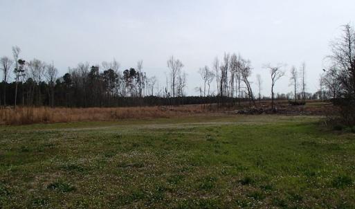 Photo of 32 Acres of Farm and Timber Land For Sale in Nash County NC!