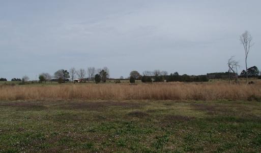 Photo of 32 Acres of Farm and Timber Land For Sale in Nash County NC!
