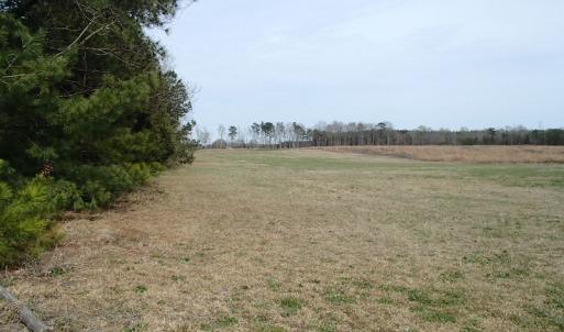 Photo of 32 Acres of Farm and Timber Land For Sale in Nash County NC!