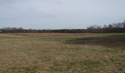 Photo of 32 Acres of Farm and Timber Land For Sale in Nash County NC!