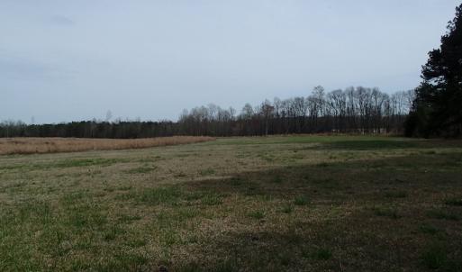 Photo of 32 Acres of Farm and Timber Land For Sale in Nash County NC!