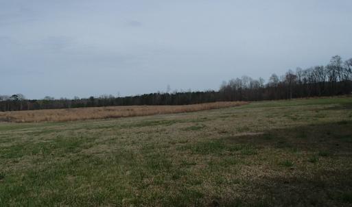 Photo of 32 Acres of Farm and Timber Land For Sale in Nash County NC!