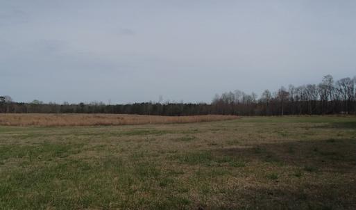 Photo of 32 Acres of Farm and Timber Land For Sale in Nash County NC!