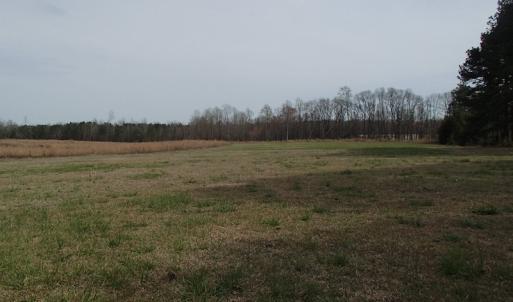 Photo of 32 Acres of Farm and Timber Land For Sale in Nash County NC!