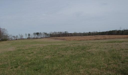 Photo of 32 Acres of Farm and Timber Land For Sale in Nash County NC!
