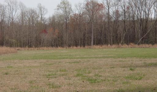 Photo of 32 Acres of Farm and Timber Land For Sale in Nash County NC!