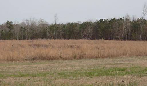 Photo of 32 Acres of Farm and Timber Land For Sale in Nash County NC!