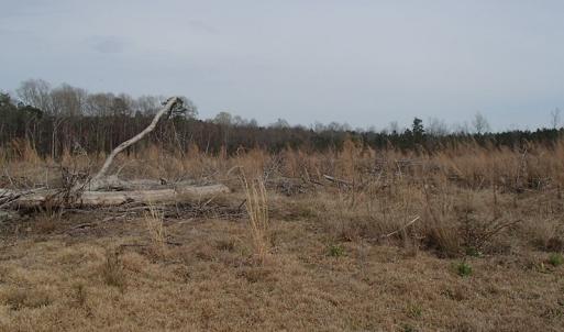 Photo of 32 Acres of Farm and Timber Land For Sale in Nash County NC!