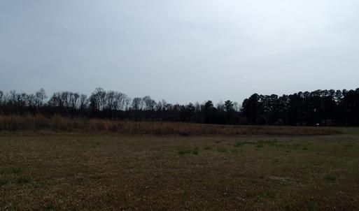 Photo of 32 Acres of Farm and Timber Land For Sale in Nash County NC!
