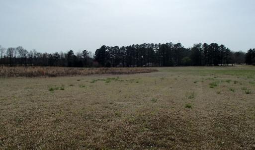 Photo of 32 Acres of Farm and Timber Land For Sale in Nash County NC!