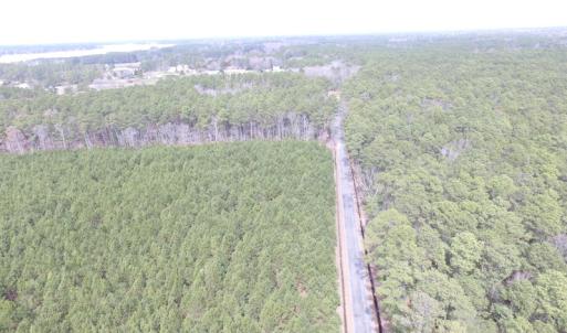 Photo of UNDER CONTRACT!  77 Acres of  Hunting and Investment Land for Sale in Mathews County VA!