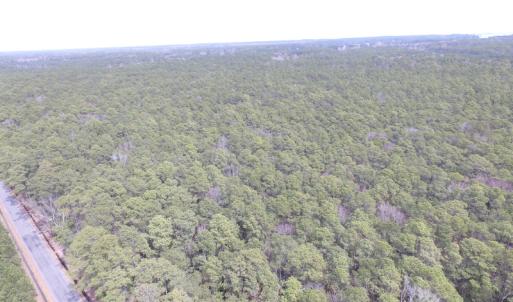 Photo of UNDER CONTRACT!  77 Acres of  Hunting and Investment Land for Sale in Mathews County VA!