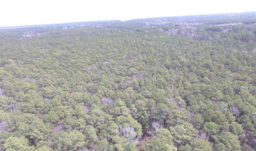 Photo of UNDER CONTRACT!  77 Acres of  Hunting and Investment Land for Sale in Mathews County VA!