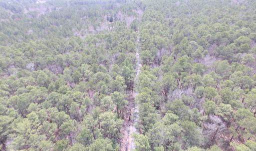 Photo of UNDER CONTRACT!  77 Acres of  Hunting and Investment Land for Sale in Mathews County VA!