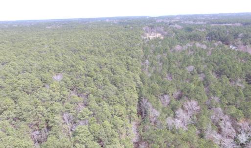 Photo of UNDER CONTRACT!  77 Acres of  Hunting and Investment Land for Sale in Mathews County VA!