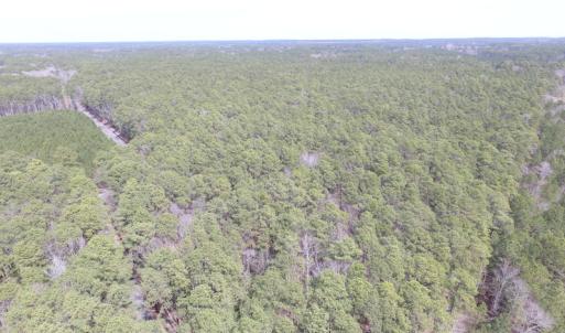 Photo of UNDER CONTRACT!  77 Acres of  Hunting and Investment Land for Sale in Mathews County VA!