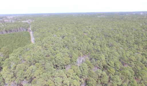 Photo of UNDER CONTRACT!  77 Acres of  Hunting and Investment Land for Sale in Mathews County VA!