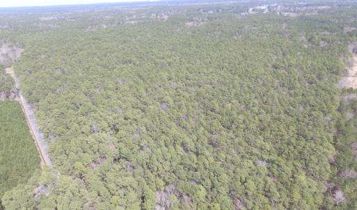 Photo of UNDER CONTRACT!  77 Acres of  Hunting and Investment Land for Sale in Mathews County VA!