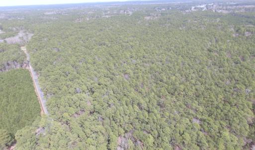 Photo of UNDER CONTRACT!  77 Acres of  Hunting and Investment Land for Sale in Mathews County VA!