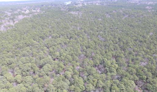 Photo of UNDER CONTRACT!  77 Acres of  Hunting and Investment Land for Sale in Mathews County VA!