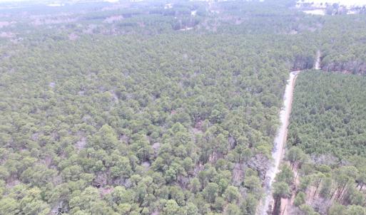 Photo of UNDER CONTRACT!  77 Acres of  Hunting and Investment Land for Sale in Mathews County VA!