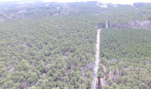 Photo of UNDER CONTRACT!  77 Acres of  Hunting and Investment Land for Sale in Mathews County VA!