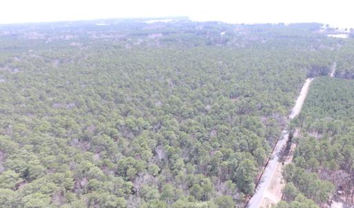 Photo of UNDER CONTRACT!  77 Acres of  Hunting and Investment Land for Sale in Mathews County VA!