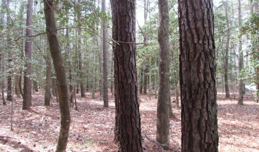Photo of UNDER CONTRACT!  77 Acres of  Hunting and Investment Land for Sale in Mathews County VA!