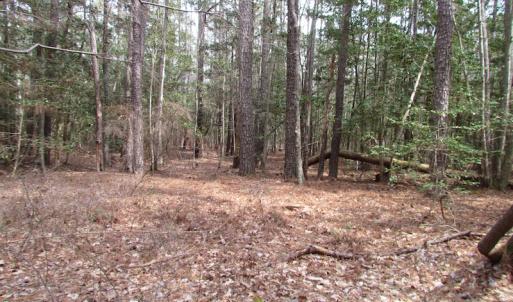 Photo of UNDER CONTRACT!  77 Acres of  Hunting and Investment Land for Sale in Mathews County VA!