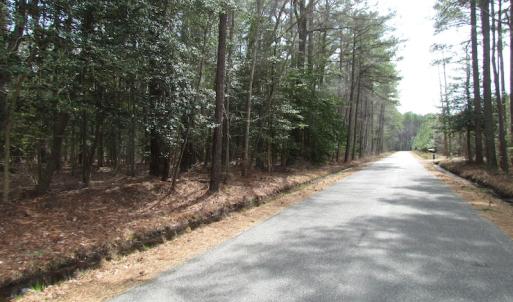 Photo of UNDER CONTRACT!  77 Acres of  Hunting and Investment Land for Sale in Mathews County VA!
