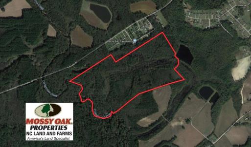 Photo of UNDER CONTRACT!  115 Acres of Hunting Land For Sale in Wilson County NC!