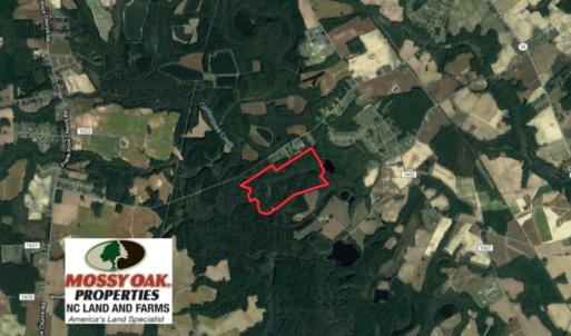 Photo of UNDER CONTRACT!  115 Acres of Hunting Land For Sale in Wilson County NC!