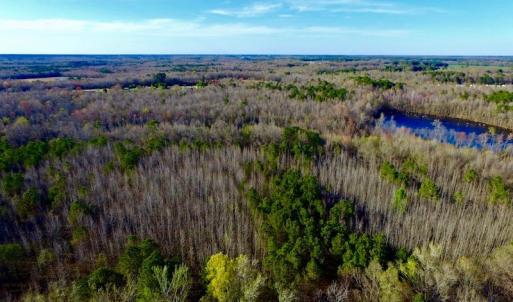 Photo of UNDER CONTRACT!  115 Acres of Hunting Land For Sale in Wilson County NC!