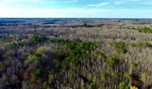 Photo of UNDER CONTRACT!  115 Acres of Hunting Land For Sale in Wilson County NC!