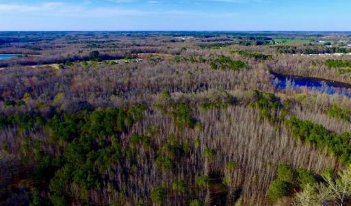 Photo of UNDER CONTRACT!  115 Acres of Hunting Land For Sale in Wilson County NC!